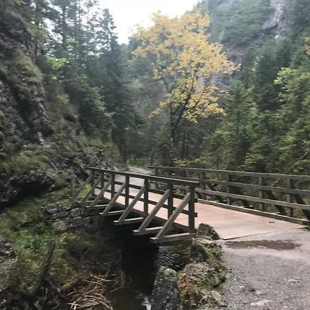Your In The Mountains Apartament *