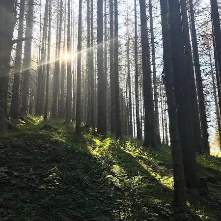 Your In The Mountains